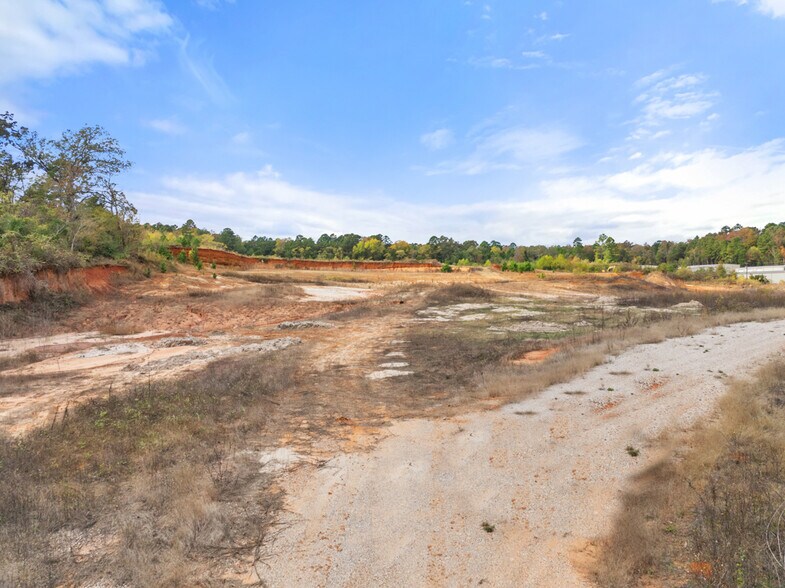 More Photos Of 15412 Hwy 110 S, Whitehouse Land For Sale