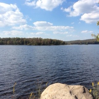 More Photos Of 870 County Route 60, Newton Falls Land For Sale