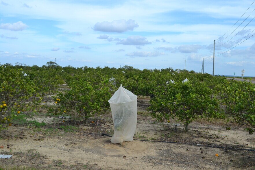 More Photos Of Scenic Highway, Babson Park Land For Sale