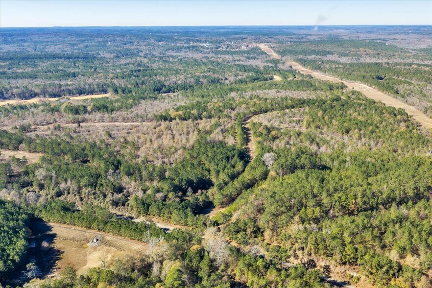 More Photos Of Benjamin Hawkins Pkwy, Byron Land For Sale