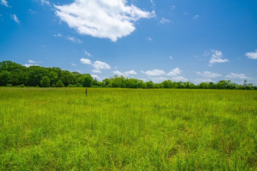 More Photos Of County Road 3311, Omaha Land For Sale