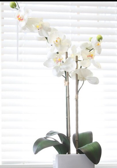 More Photos Of 9157 Atlee Rd, Mechanicsville Coworking Space