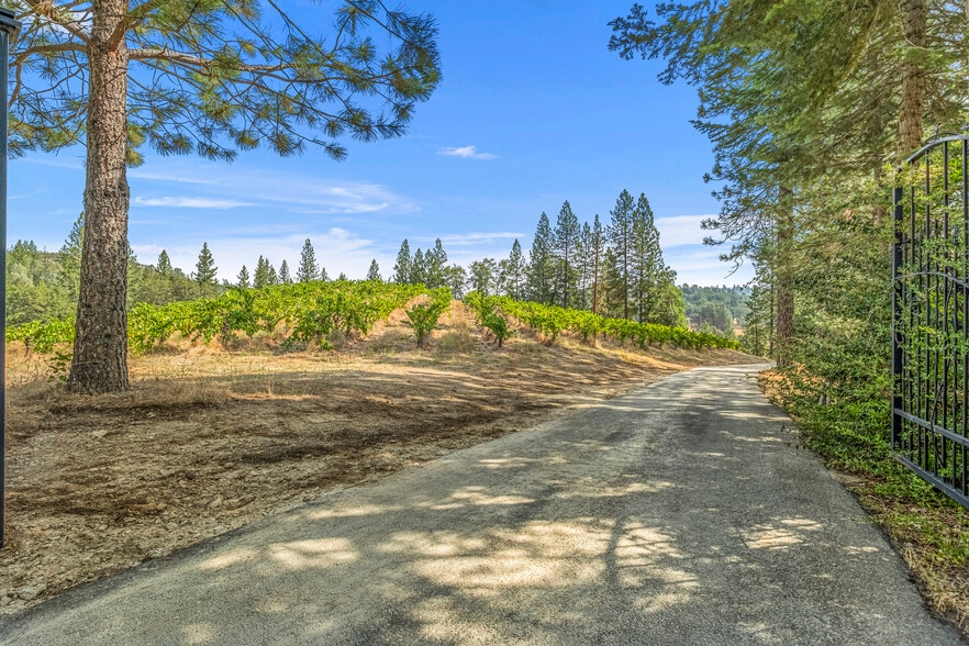 More Photos Of 4282 Pleasant Valley Rd, Placerville Specialty For Sale
