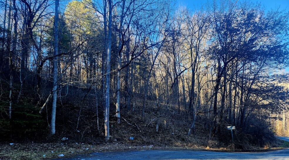 More Photos Of Lyle Wilson Rd, Cullowhee Land For Sale