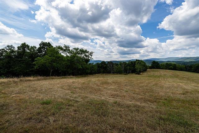 More Photos Of 22590 Criders Rd, Criders Land For Sale