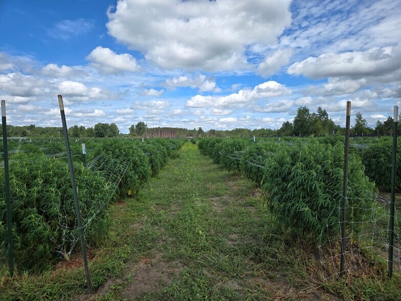 More Photos Of 4410 Turtle Rd, Turner Land For Sale