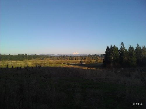 Primary Photo Of 1054 Rush Rd, Chehalis Land For Sale