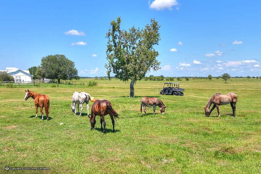 More Photos Of NW Limestone Heights Street, Arcadia Land For Sale