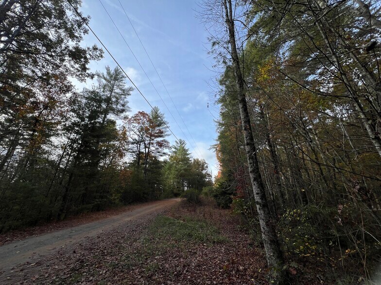 More Photos Of Whitecliff Drive, Ellijay Land For Sale