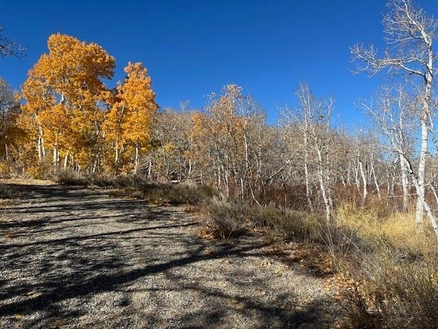 Primary Photo Of Crowley Lake Dr, Mammoth Lakes Land For Sale