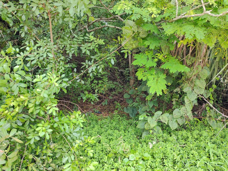 More Photos Of 5470 SE Ebbtide Ave, Stuart Land For Sale