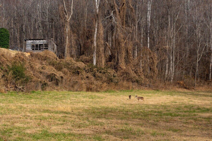More Photos Of 0 Foothills Rd, Callaway Land For Sale
