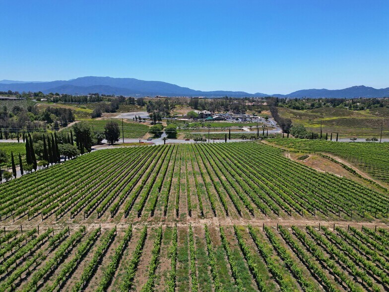 More Photos Of 32575 Rancho California Rd, Temecula Winery Vineyard For Sale
