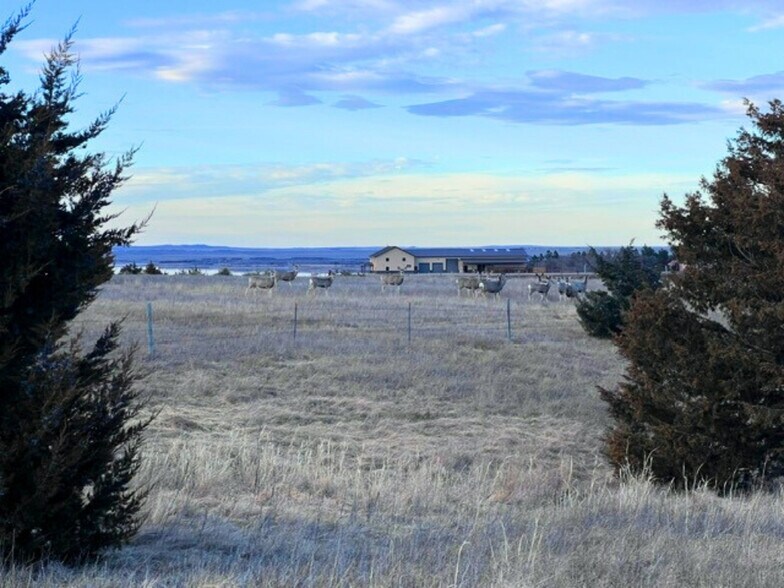 More Photos Of TBD Highway 1804, Pierre Land For Sale