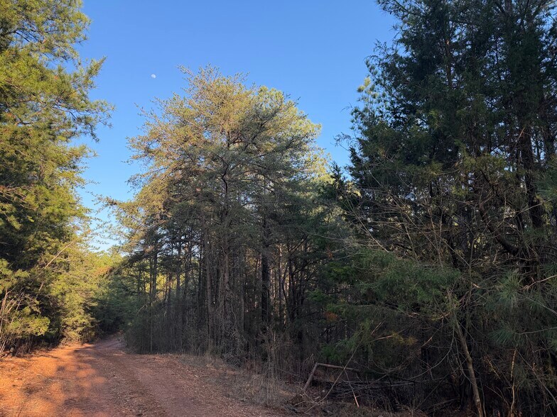 More Photos Of 260 Arnold Rd NE, Fairmount Land For Sale