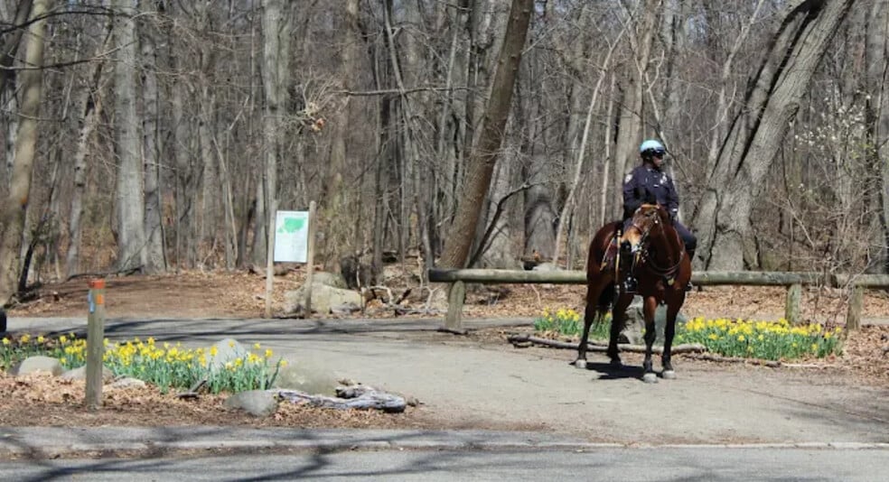 More Photos Of 11882 Metropolitan Ave, Kew Gardens Office For Sale