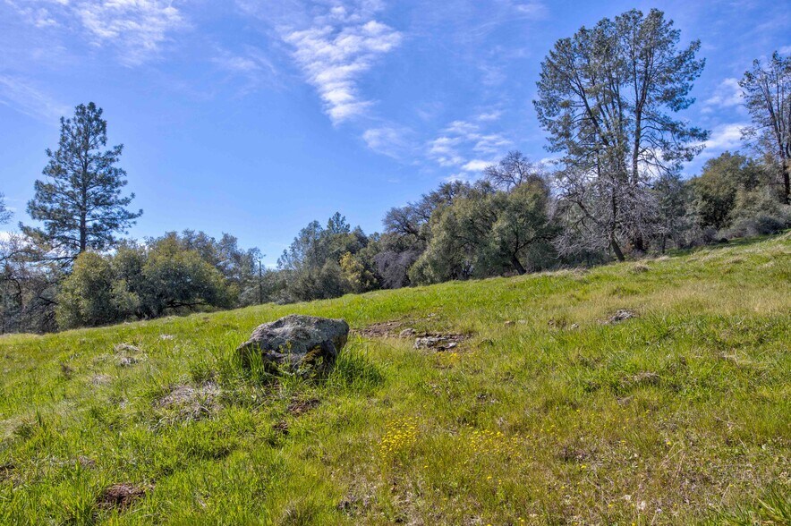 More Photos Of 18800 Charleston Rd, Volcano Land For Sale