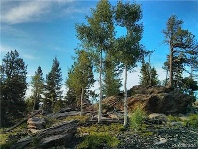 More Photos Of 1695 Packsaddle Trl, Evergreen Land For Sale