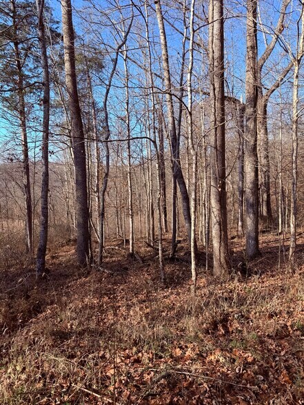 More Photos Of 4604 Summersville Rd, Campbellsville Land For Sale