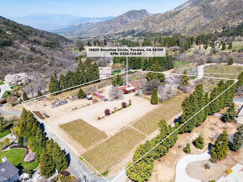 More Photos Of 39285 Snowline Circle, Oak Glen Specialty For Sale