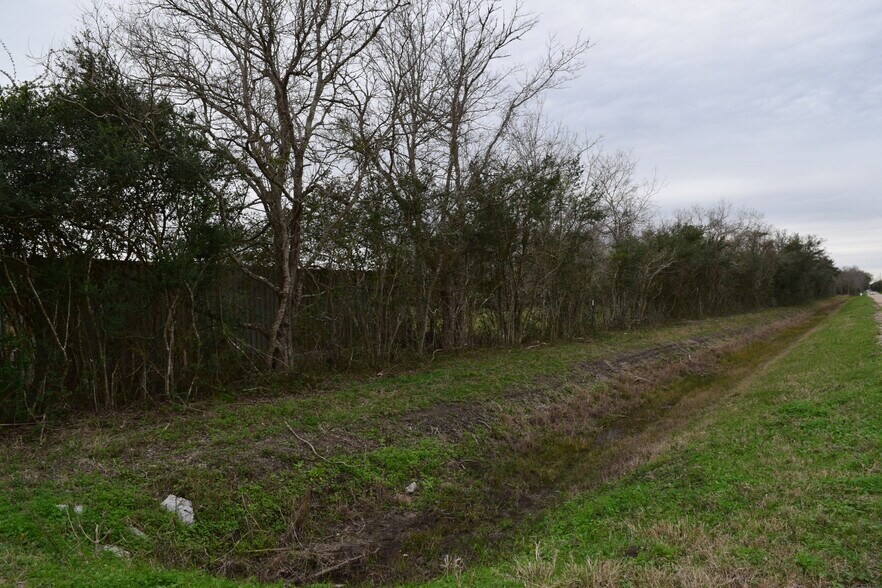 More Photos Of 0 Belcher (CR 397), Manvel Land For Sale