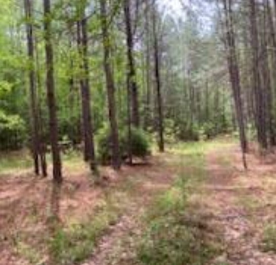 More Photos Of , Edgefield Industrial For Sale