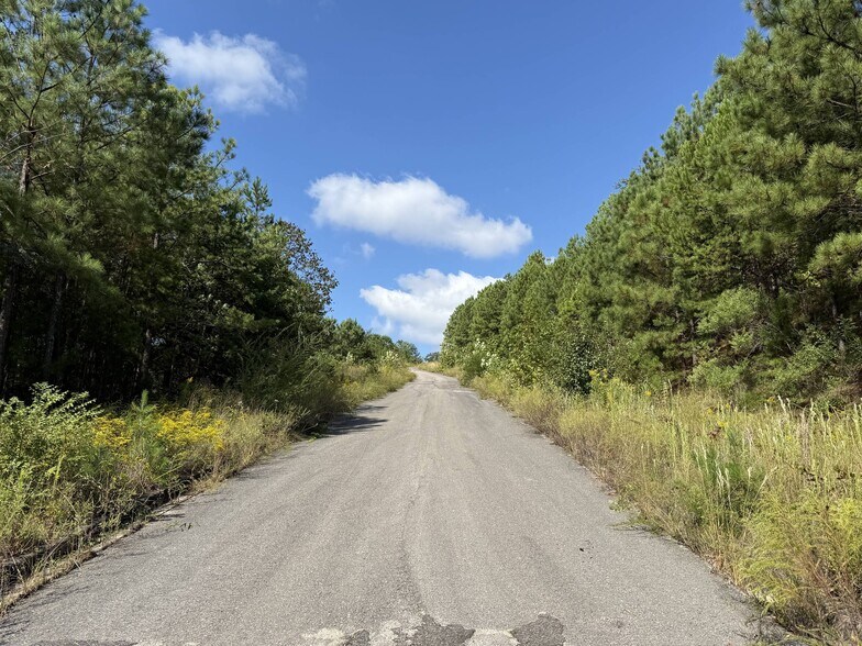 More Photos Of 6522 Old Springville Rd, Pinson Land For Sale