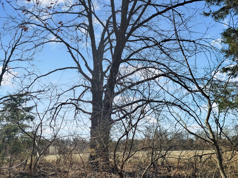 More Photos Of 762 Cave Farm Rd, Troy Land For Sale