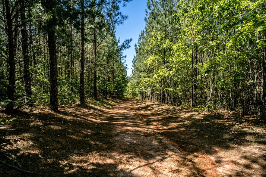 More Photos Of tbd Green Creek Rd, Schuyler Land For Sale
