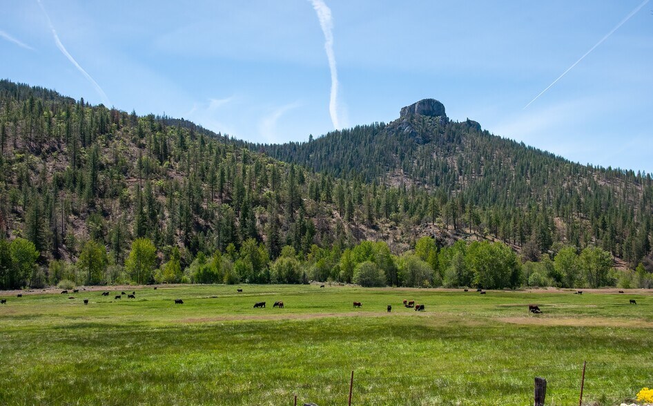 More Photos Of 6726 Gazelle Callahan Rd, Gazelle Land For Sale