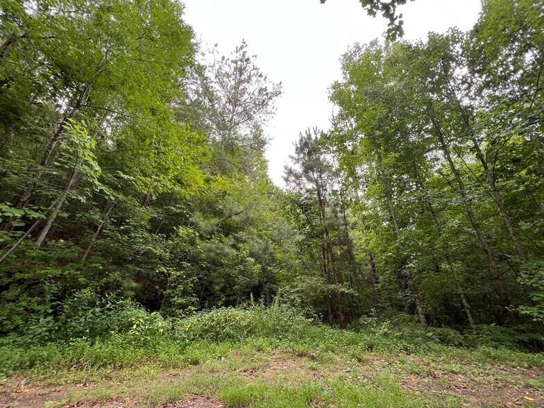 More Photos Of Pinyan, Ranger Land For Sale