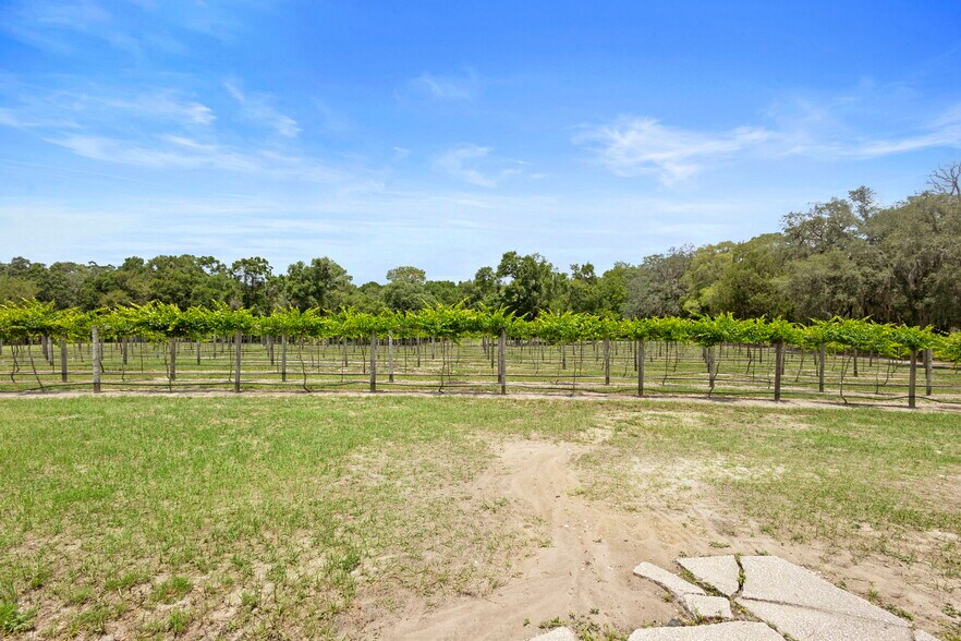 More Photos Of 1056 Reynolds Rd, De Leon Springs Specialty For Sale