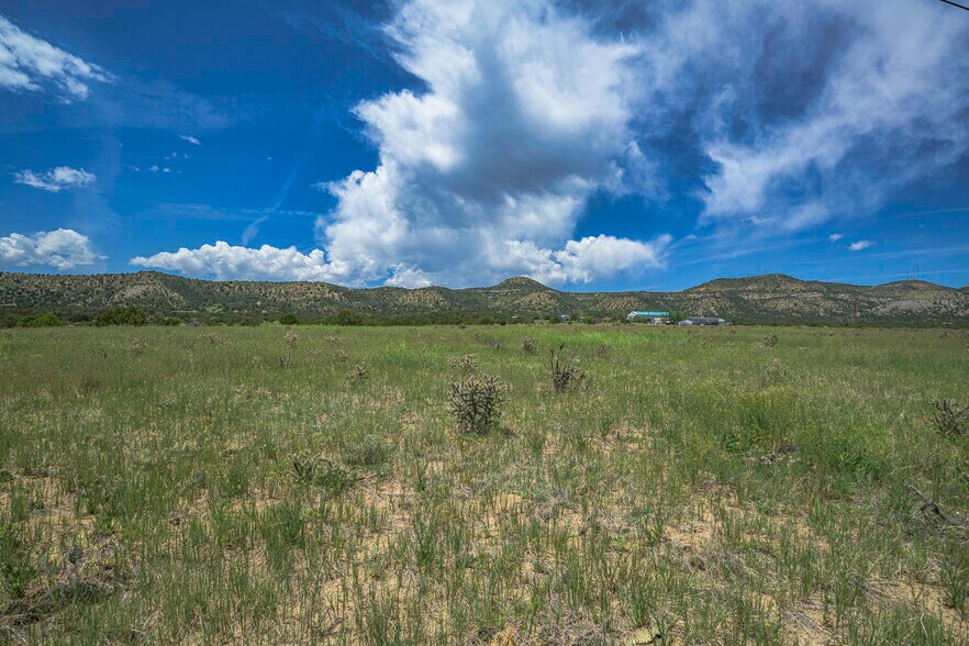 Primary Photo Of TBD County Road 71.1, Trinidad Land For Sale