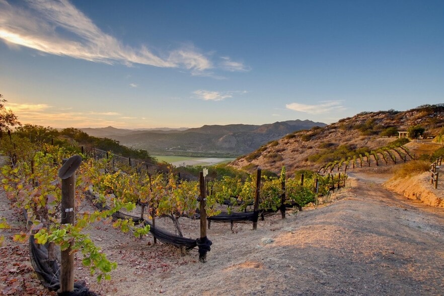 More Photos Of 16850 Old Survey Rd, Escondido Winery Vineyard For Sale