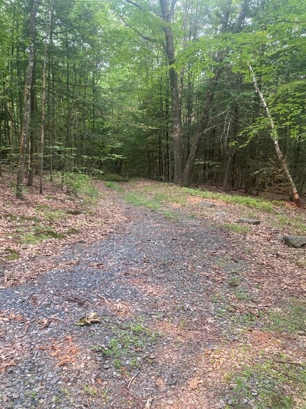 More Photos Of Daggett Hill (TM R16-3) Rd, Westmoreland Land For Sale