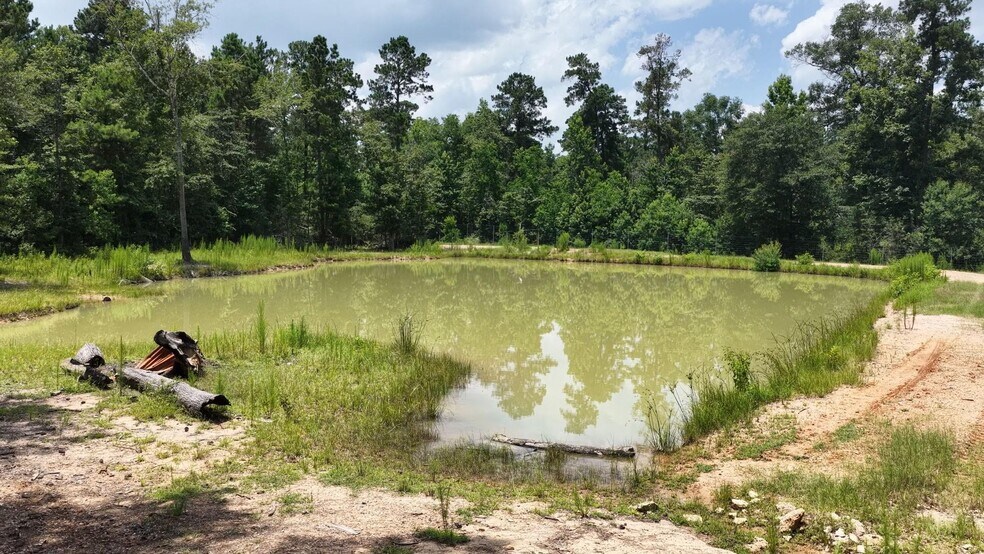 More Photos Of 856 TX-150, New Waverly Land For Sale