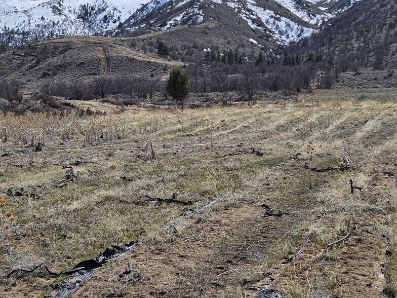 More Photos Of 448-395 Hwy 395, Milford Land For Sale
