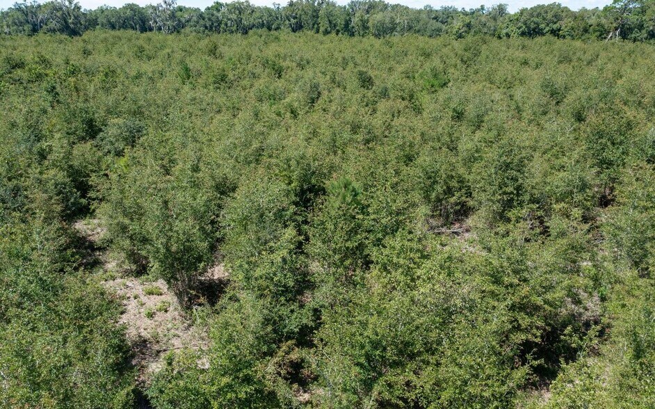 More Photos Of Crossen Avenue & Ichetucknee Rd, Live Oak Land For Sale