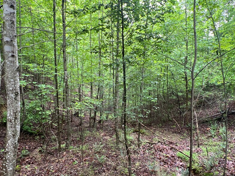 More Photos Of 395 Able rd, Waleska Land For Sale