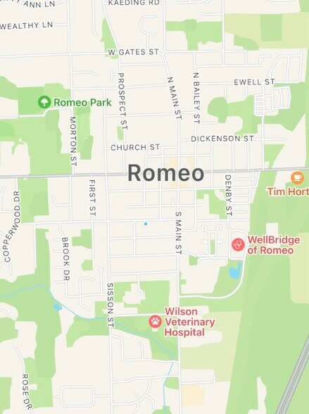More Photos Of 149 W Saint Clair St, Romeo Medical For Sale