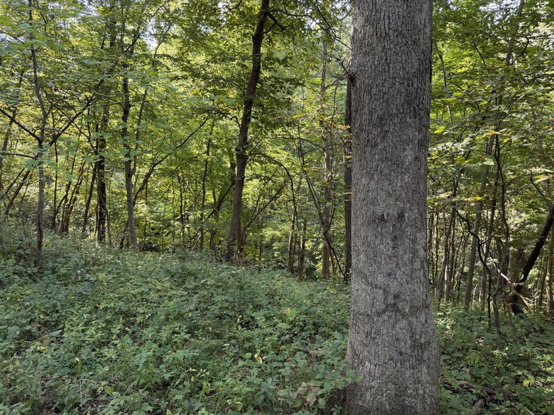 More Photos Of 2681 Casey Ave, Letts Land For Sale