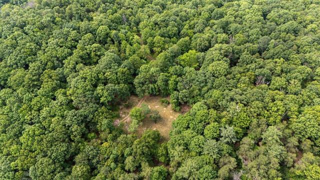 More Photos Of 22590 Criders Rd, Criders Land For Sale