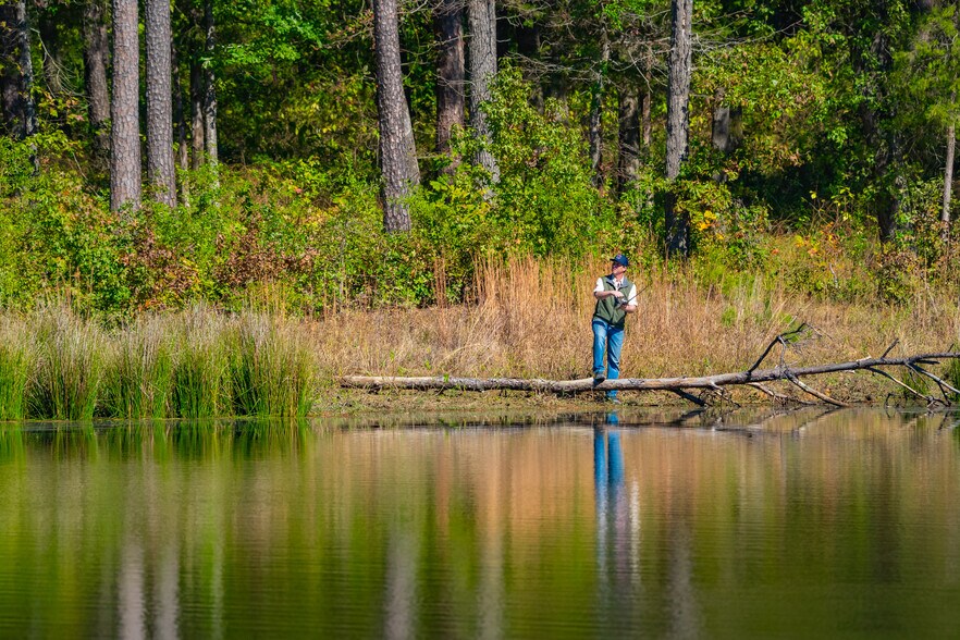 More Photos Of 391 Farm to Market 1519, Scroggins Land For Sale