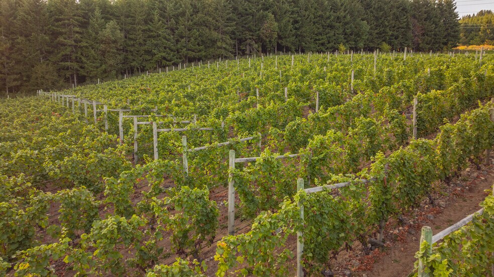 More Photos Of , Duncan Winery Vineyard For Sale