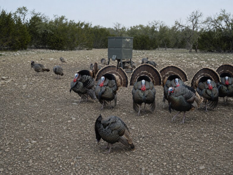 More Photos Of 65 Miles Ln, Harper Land For Sale