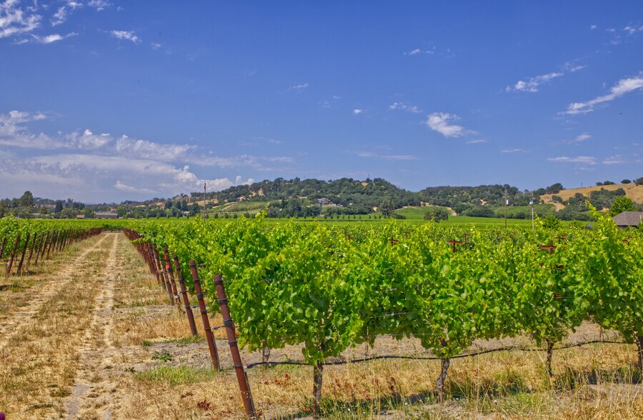 More Photos Of 179 Pleasant Ave, Santa Rosa Land For Sale