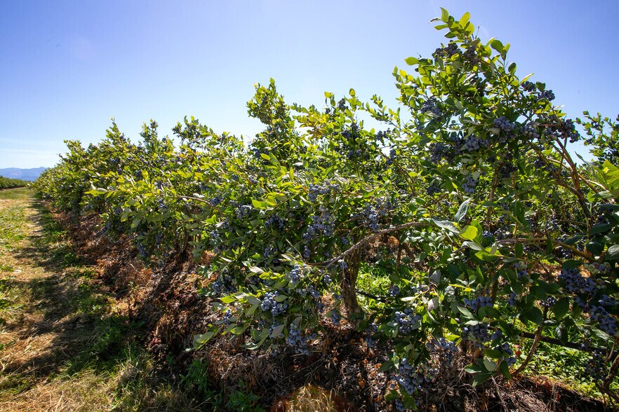 More Photos Of 9586 Bender Rd, Lynden Land For Sale