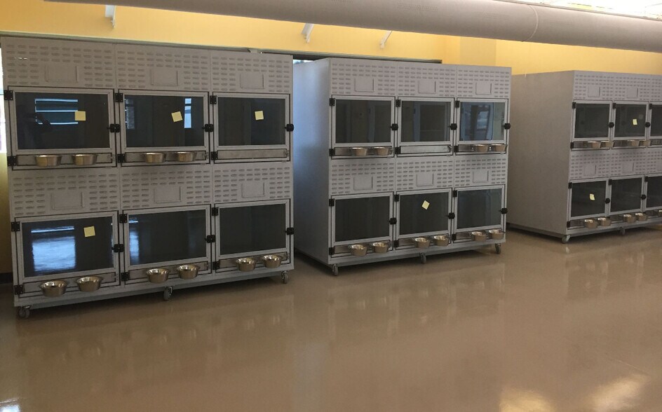 More Photos Of 8028 W Thunderbird Rd, Peoria Veterinarian Kennel For Lease