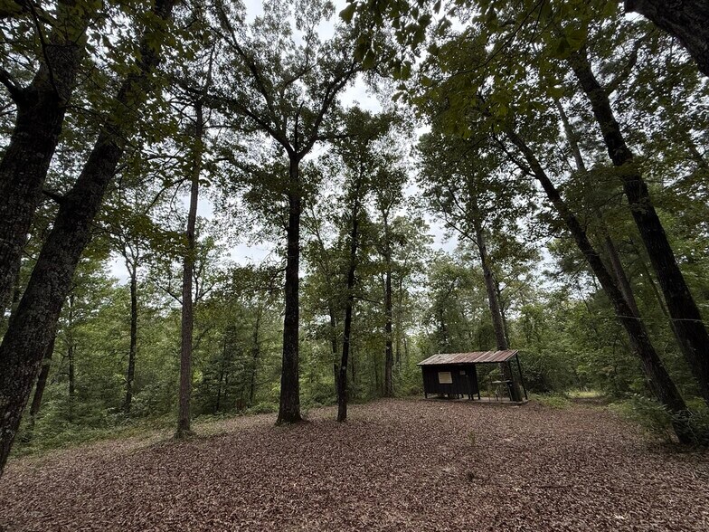 More Photos Of 2251 Boy Scout Rd, Byron Land For Sale