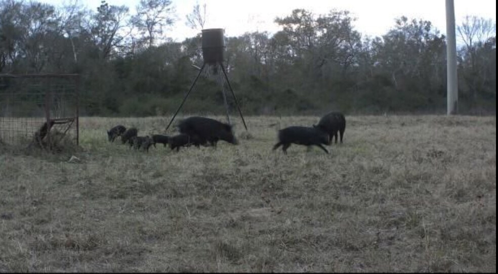 More Photos Of 24030 Hegar Rd, Hockley Land For Sale